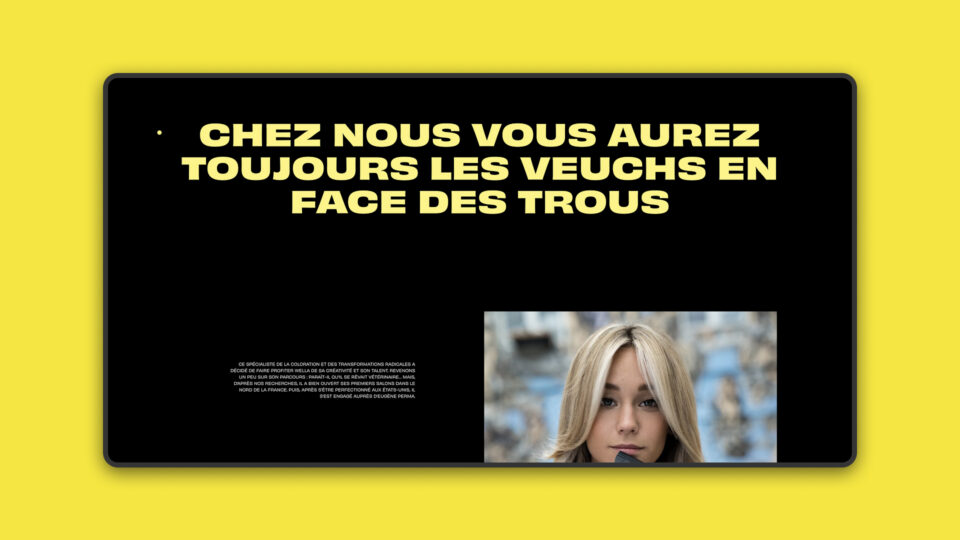 Site Ludovic Géhéniaux — page intérieure